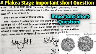 Plakea Stage  Volvox  important short Questions BSc first year Botany first semester [upl. by Wolbrom]