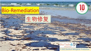 在十分钟内 学习 Bioremediation 生物修复 Chinese [upl. by Addiego]