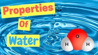 Properties of Water  Polarity  Hydrogen Bonds  Adhesion amp Cohesion [upl. by Delos]