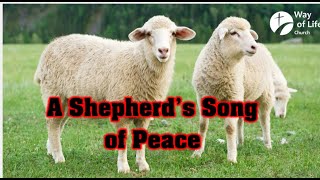 The Shepherds Song of Peace [upl. by Ainomar]