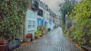 London Rain Walk in Upmarket Kensington amp Chelsea  Mews Grand Houses amp Holland Park  4K 60FPS [upl. by Elenore]