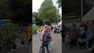 bighoneybees knowsley knowsleyflowershow August 2024 Naughty Bees 🤣😂🤣 [upl. by Letsou]