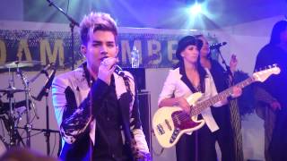 Caulfield Guineas 13102012  Adam Lambert  Outlaws of Love [upl. by Charlie]