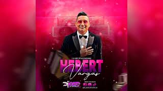 Voy a Amarte 15 EXITOS DE HEBERT VARGAS VallenatoMix [upl. by White]