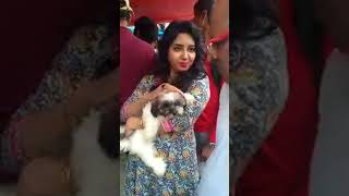 galiff Street dog market in kolkata ।।Pets like is live [upl. by Shelman]