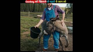 Donkey को खिलाने से पहले ये जान लो😯👆 shorts facts trending youtubeshorts [upl. by Ahael]