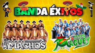 Banda Machos vs Banda Maguey  Puras Romanticas Del Recuerdo  Bandas 90s Mix Movidas [upl. by Charry]