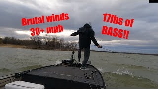 Bass Fishing Lake Lewisville 17lbs Pre Spawn [upl. by Hurlbut]