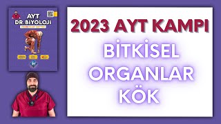 Bitkisel OrganlarKök AYT Biyoloji Kampı Konu Anlatımı 12Sınıf 2024 Tayfa [upl. by Yentruocal]