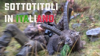 Caccia allo stambecco – caccia in montagna  Alpi  Capra Ibex trofeo grande [upl. by Steffy]