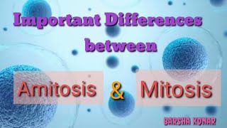 Difference between amitosis and mitosis Cell Division biology and career [upl. by Mccreery519]