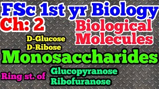 Monosaccharides  ring structures of glucopyranose and ribofuranose  Ch 2  lecture 5fsc1styr [upl. by Iona]