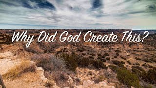 Why Did God Create This [upl. by Ian]