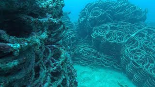 Torpedo Nets Pompano FL [upl. by Yvon]