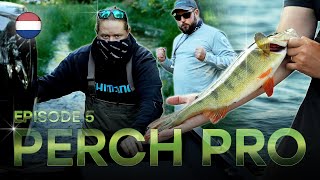 PERCH PRO 10  Aflevering 5 Dutch Version [upl. by Anagrom412]