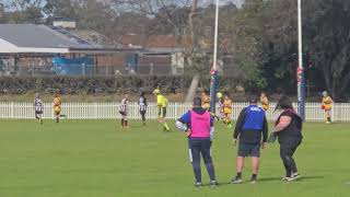 Greystanes Goannas vs Ingleburn Magpies pt 2 [upl. by Kalli]