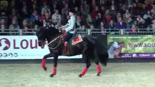 Müllers Pferdeparadies  EQUITANA 2015 [upl. by Einneg855]