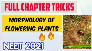 Plant Morphology Full Chapter Tricks  Neet Possible Tricks Series  Target Neet [upl. by Robinett860]