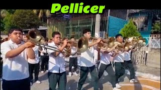 PELLICER MARCHING BAND [upl. by Sedberry232]