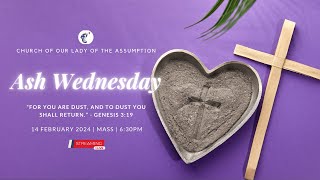 Ash Wednesday Church of Our Lady of the Assumption BSB [upl. by Roselin]