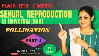 POLLINATION  Sexual Reproduction In Flowering Plant Part 3  NCERT Odia by Prity mam [upl. by Notgnimer]