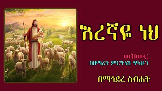 Mirtnesh Tilahun New mezmur Eregnaye neh may 28 2015 [upl. by Dione]