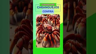 🦀✨Regeneração dos Caranguejos 🦀✨ Segredos Reveladosquot CuriosidadesMarinhas VidaAquática shorts [upl. by Ronym247]