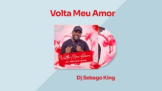 Dj Sebago King  Volta Meu Amor Official Audio [upl. by Oruam265]