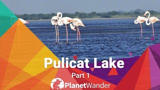 Pazhaverkadu  Pulicat lake part  1  Wonderful place to visit near Chennai  Planet Wander [upl. by Ettennor]