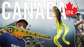 On pêche avec des leurres énormes pour traquer le MUSKY le brochet géant du Canada [upl. by Adraynek]