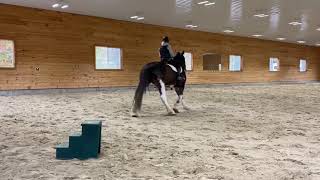 Clydesdale Dressage  Crusader [upl. by Ihc]