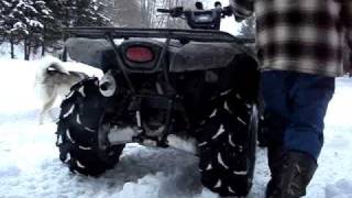 2008 brute force 750 FULL muzzy PRO [upl. by Ilera]