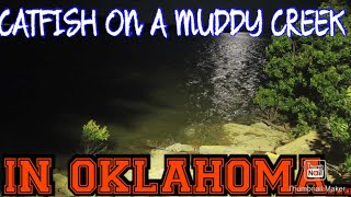 CATFISH ON A MUDDY OKLAHOMA CREEK [upl. by Mello]