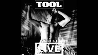 Tool Ænima Full Expanded Album Live Redux [upl. by Aliwt937]