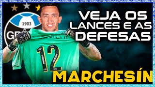 BEM VINDO AO GRÊMIO AUGUSTIN MARCHESÍN LANCES E DEFESAS 2024 [upl. by Drawyah]