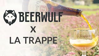 NL Brewery of the Month  La Trappe  Beerwulfcom [upl. by Aneleve927]