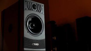 Review The PMC Result 6 ACTIVE Bookshelf Loudspeaker [upl. by Einattirb]