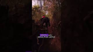 Perjalanan singkat ke gunung buthak part 5 hiking [upl. by Isis]