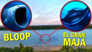 REAL FOOTAGE Drone Catches EL GRAN MAJA amp BLOOP IN OCEAN SEA MONSTER SIGHTING [upl. by Elocaj]