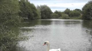 LONGFORD FISHERY LONGFORD ASHBOURNE DERBYSHIRE [upl. by Winwaloe512]