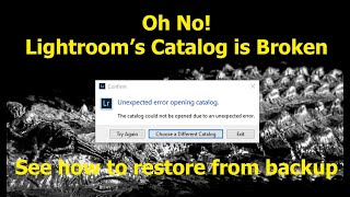 Restoring the Lightroom Classic Catalog from a Backup [upl. by Allicsirp]