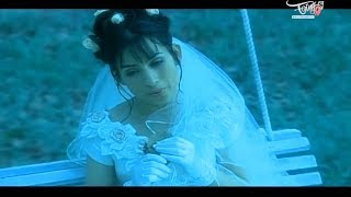 Nàng Yêu Hoa Tím  Phi Nhung  Official MV [upl. by Leal]