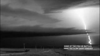 Incredible Slow Motion Lightning Strike 1 sec  3 min [upl. by Breech]