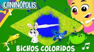 BICHOS COLORIDOS  CANINÓPOLIS  Músicas Infantis [upl. by Rovaert683]