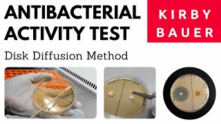 Antibacterial Activity Test by Disk Diffusion MethodA Complete Procedure Kirby and Bauer Method [upl. by Alamak93]