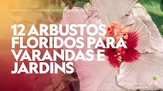 12 ARBUSTOS FLORIDOS para VARANDAS e JARDINS ENSOLARADOS [upl. by Mycah]