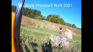 Pheasant Hunting Dog Training [upl. by Leila12]