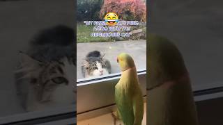 Hilarious Animal Moments Adorable Animals Caught on Tape 🐾❤️ animalcomedy [upl. by Ahsita]