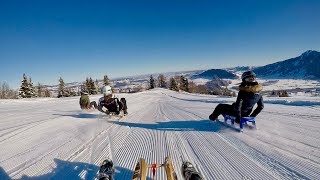 Rodeln im Allgäu  Mittagbahn Immenstadt [upl. by Sherwood962]