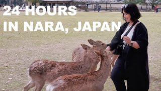 24 Hours in Nara Japan 🦌  Feeding Deer Seeing Cherry Blossoms Trying Food [upl. by Hanauq440]